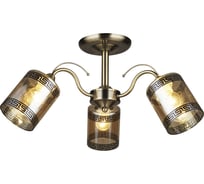 Потолочная люстра WEDO LIGHT САНТАДИ 66229.01.05.03