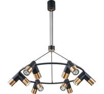 Люстра INDIGO 11036/12P Black V000455