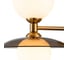 Бра INDIGO 11020/2W Brass V000167 3