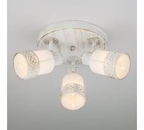 Светильник (споты) Eurosvet 20026 3 белый с золотом 00000071467