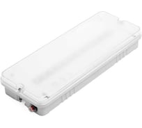 Аварийный светильник ОРИЕНТИР Мини с БАП EM3 Матовый Wolta PRO ДБО03-3-051-6К