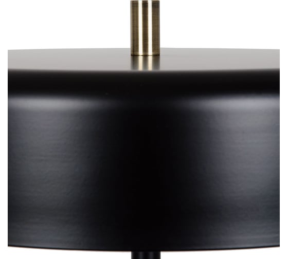 Торшер ARTE LAMP SKAT A7052PN-2BK