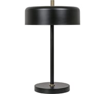 Декоративная настольная лампа ARTE LAMP SKAT A7052LT-2BK