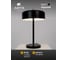 Декоративная настольная лампа ARTE LAMP SKAT A7052LT-2BK 6