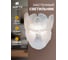 Настенный светильник ARTE LAMP KAPRI A4078AP-2CC 2