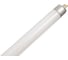 Лампа люминесцентная LightBest LBL T5 14W 3000K G5 701071039 2
