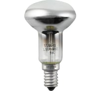 Рефлектор ЭРА R63 60Вт 230В E27 цветная упаковка Б0039143