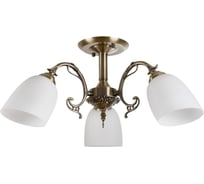 Потолочная люстра MYFAR Biene MR1522-3C