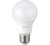 Светодиодная лампа ЭРА LED A60-6W-865-E27 R, груша, 6Вт, холодная, E27, 10/100/1500 Б0048501