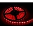 Светодиодная лента IN HOME LS 35R-60/65, 60LED, 4.8Вт/м, 12В, IP65, красная 4690612022567 1