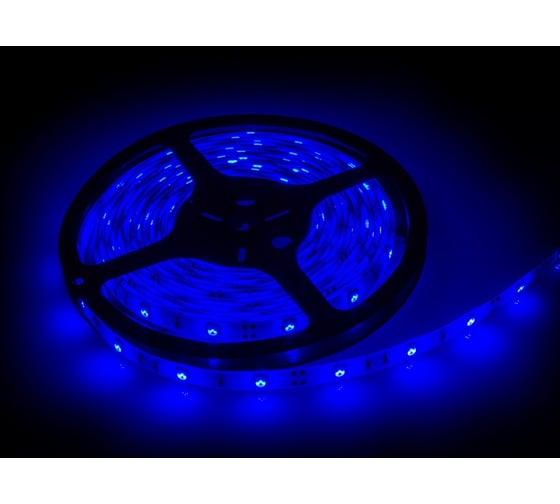 Светодиодная лента IN HOME LS 35B-60/65 60LED, 4.8Вт/м, 12В, IP65, синяя 4690612022581