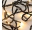 Светодиодная гирлянда Arlight ARD-STRING-HOME-5000-GREEN-50LED-STD WARM 025764 Аркон 2