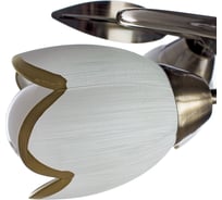 Потолочная люстра Arte Lamp PERCE A6061PL-4AB