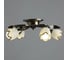 Потолочная люстра Arte Lamp PERCE A6061PL-4AB 3