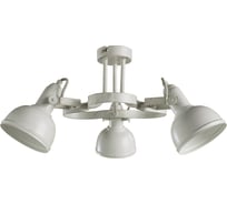 Потолочная люстра Arte Lamp МАРТИН A5216PL-3WG