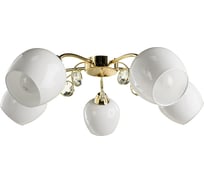 Потолочная люстра Arte Lamp MILLO A9549PL-5GO