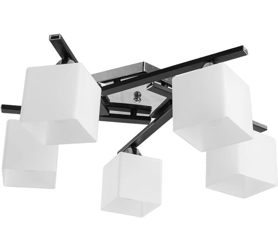 Потолочная люстра Arte Lamp VISUALE A8165PL-5BK