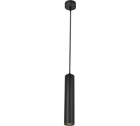 Подвесной светильник Arte Lamp LIRA A5600SP-1BK