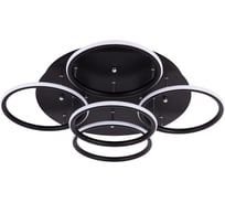 Потолочный светильник Arte Lamp RAPID A2500PL-5BK