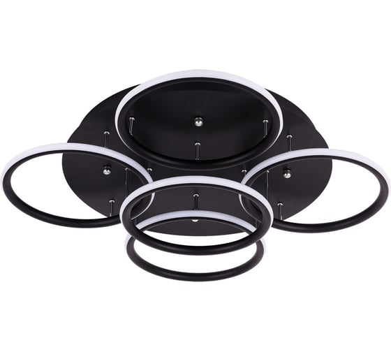 Потолочный светильник Arte Lamp RAPID A2500PL-5BK