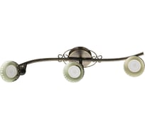 Спот Arte Lamp FOCUS A5219PL-3BR