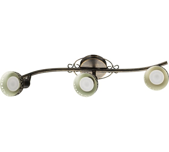 Спот Arte Lamp FOCUS A5219PL-3BR