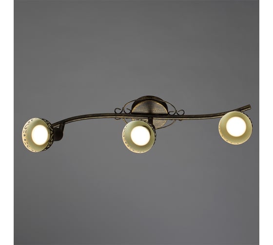 Спот Arte Lamp FOCUS A5219PL-3BR
