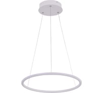 Подвесной светильник Arte Lamp RAPID A2500SP-1WH