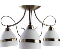 Потолочная люстра Arte Lamp NOEMI A6192PL-3AB