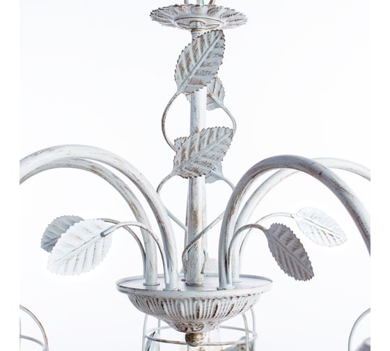 Подвесная люстра Arte Lamp CINCIA A5090LM-5WG