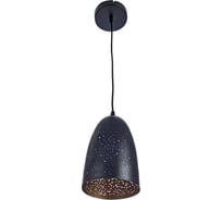 Подвесной светильник Arte Lamp BUCHINO A1615SP-1BK