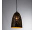 Подвесной светильник Arte Lamp BUCHINO A1615SP-1BK 2