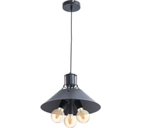 Подвесной светильник Arte Lamp STARK A9347SP-3BK