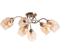Потолочный светильник Arte Lamp RICCIO A7758PL-6AB