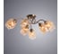 Потолочный светильник Arte Lamp RICCIO A7758PL-6AB 2