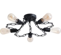 Потолочный светильник Arte Lamp RIVERRUN A9344PL-5BK