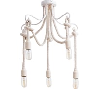 Потолочный светильник Arte Lamp NODO A9477PL-5WG