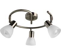 Спот Arte Lamp PARRY A5062PL-3AB