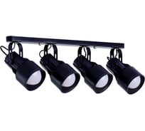 Спот Arte Lamp LYRA A6252PL-4BK