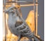 Настенный светильник Arte Lamp CINCIA A5090AP-1WG 6