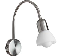 Спот Arte Lamp FALENA A3116AP-1SS
