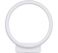 Настенный светильник Arte Lamp RAPID A2500AP-1WH