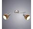 Спот Arte Lamp ILLUSIONE A6125AP-2SS 2