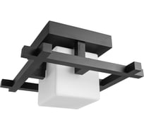 Потолочная люстра Arte Lamp WOODS A8252PL-1CK