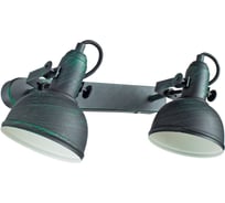 Спот Arte Lamp МАРТИН A5213AP-2BG