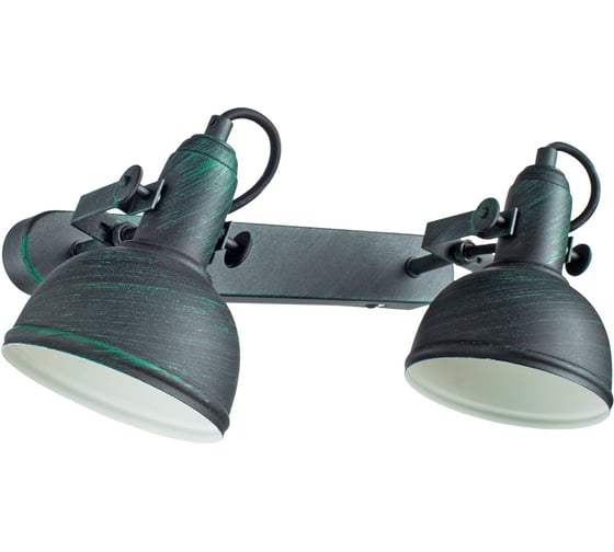 Спот Arte Lamp МАРТИН A5213AP-2BG