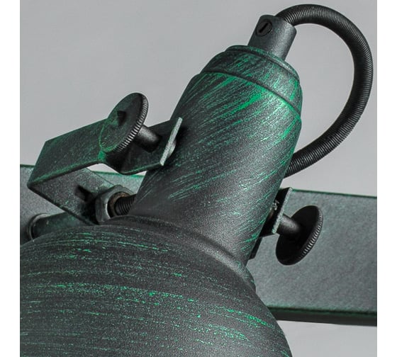 Спот Arte Lamp МАРТИН A5213AP-2BG