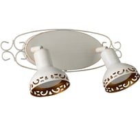 Спот Arte Lamp FOCUS A5219AP-2WG