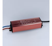 Драйвер ELEGANZ 40-50W 600мА для ультратонких панелей, 1шт 1707