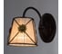 Настенный светильник Arte Lamp FORTUNA A5495AP-1BR 2